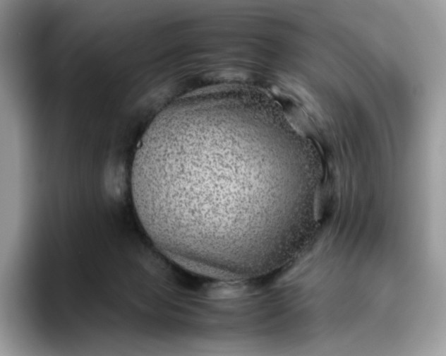 X0000095940077200801251118