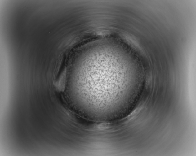 X0000095940078200801251118