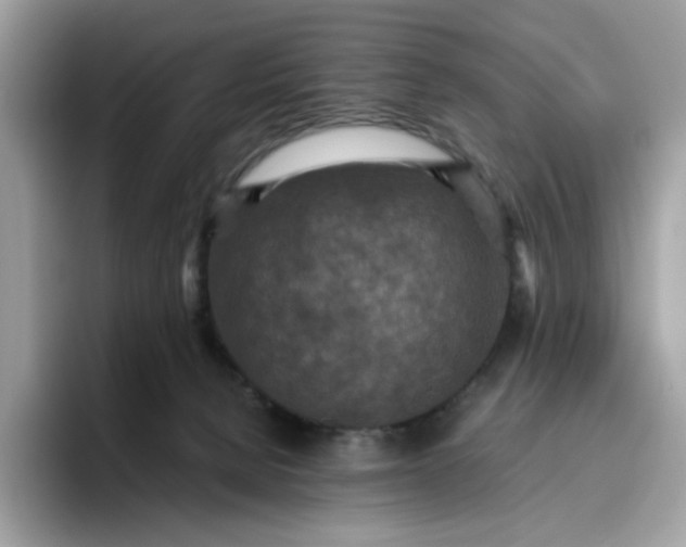 X0000095940080200801251118