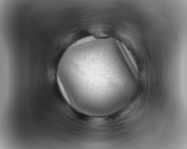 X0000095940081200801251118