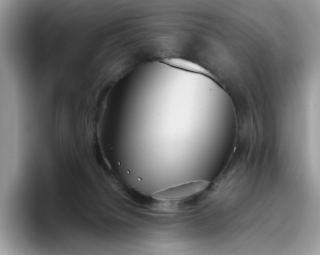 X0000095940084200801251118