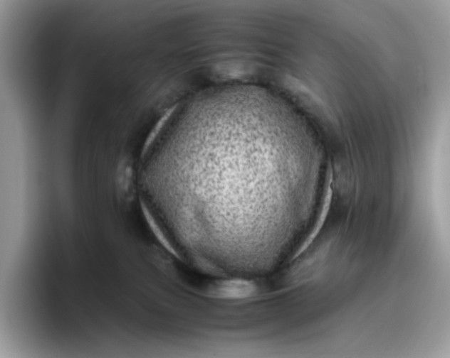 X0000095940087200801251118