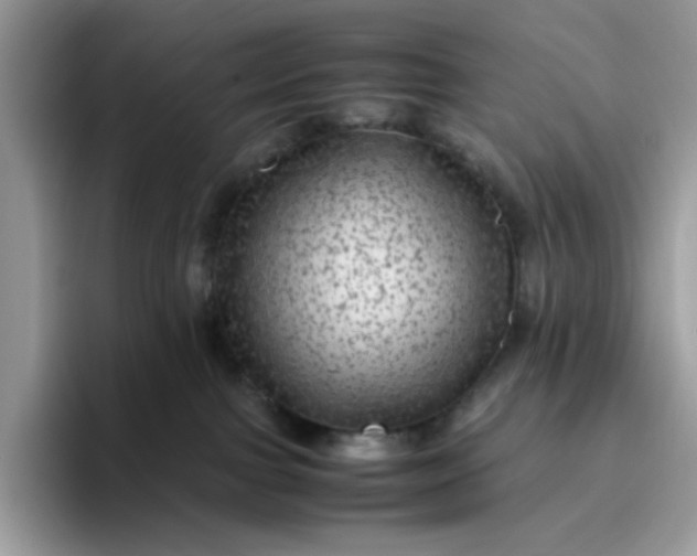 X0000095940091200801251118