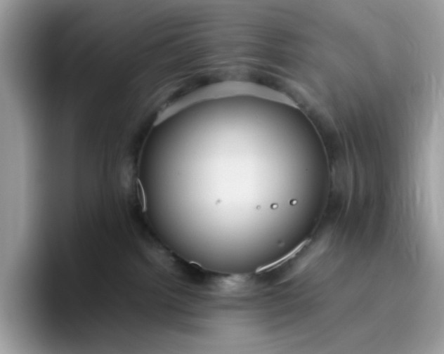 X0000095940092200801251118