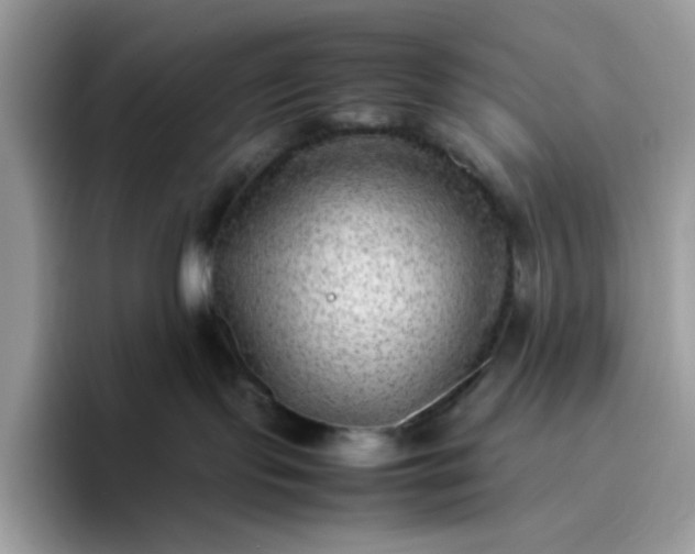 X0000095940095200801251118