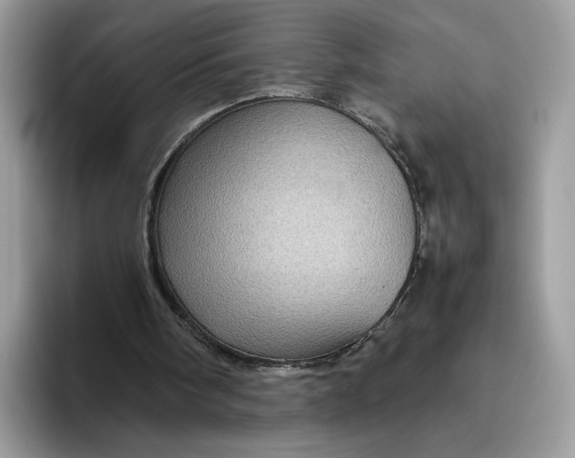 X0000095940098200801251118