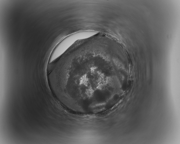 X0000095940099200801251118