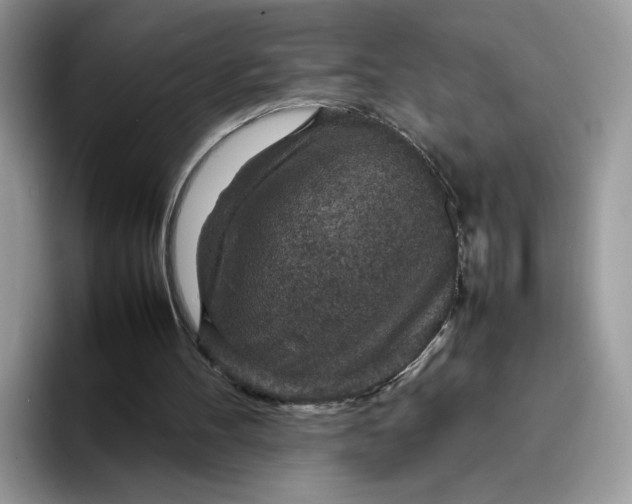 X0000095940100200801251118