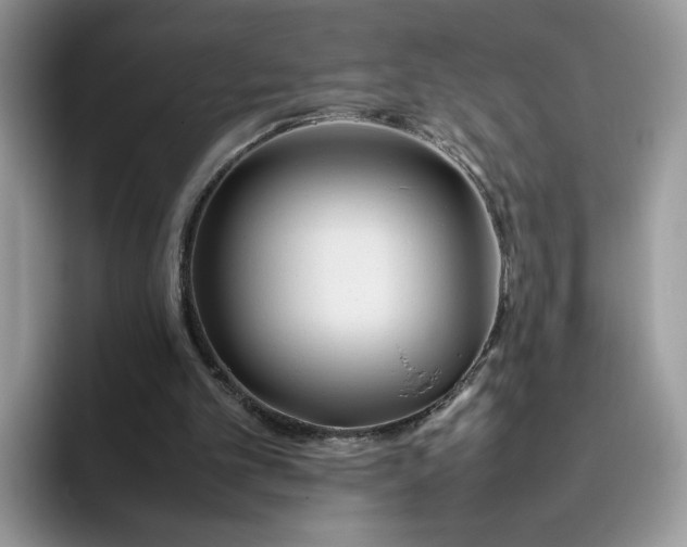 X0000095940101200801251118