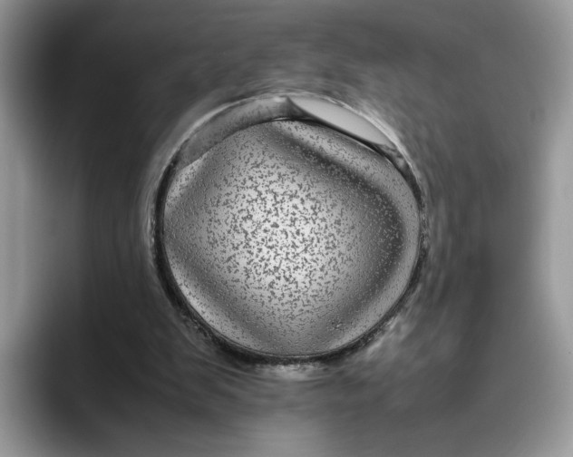 X0000095940103200801251118