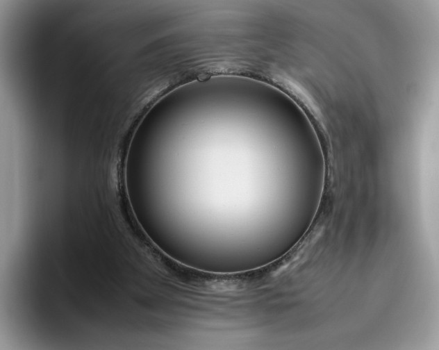 X0000095940105200801251118