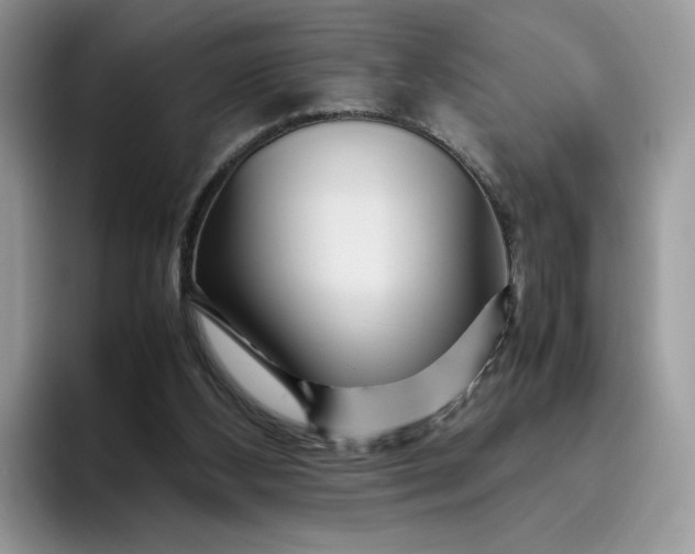 X0000095940108200801251118