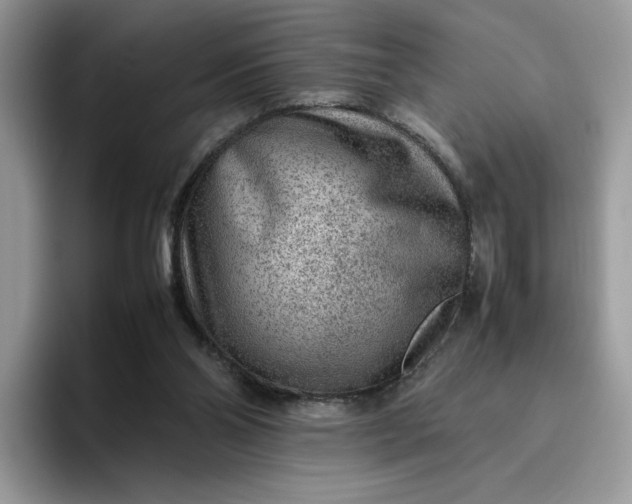 X0000095940110200801251118