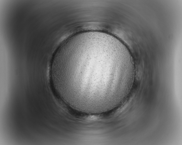 X0000095940111200801251118