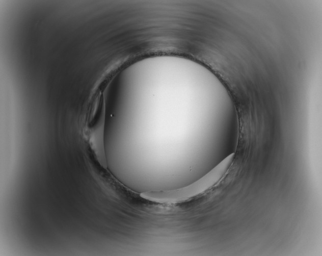 X0000095940112200801251118