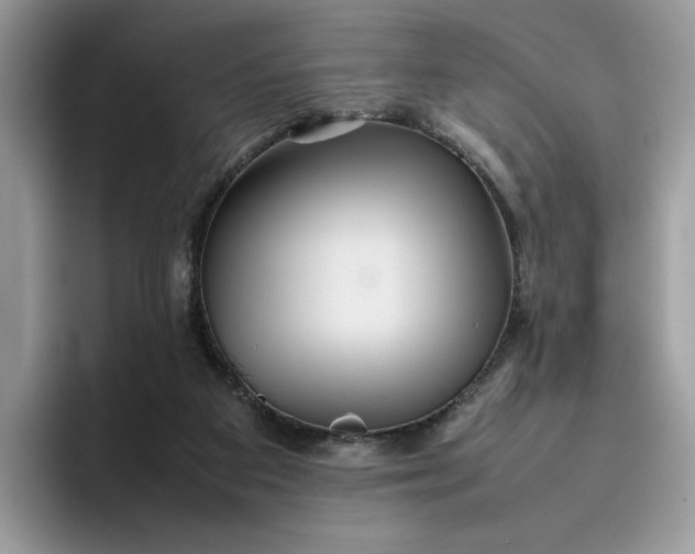 X0000095940113200801251118