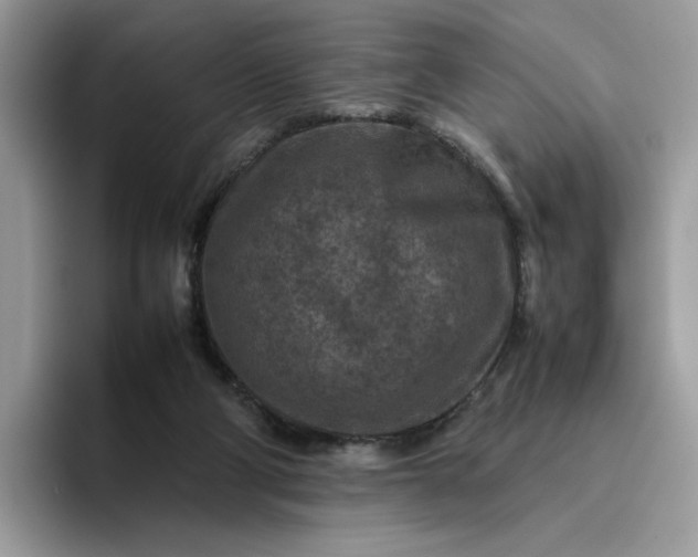 X0000095940114200801251118