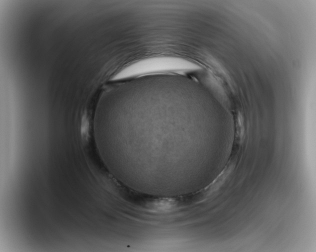 X0000095940124200801251118