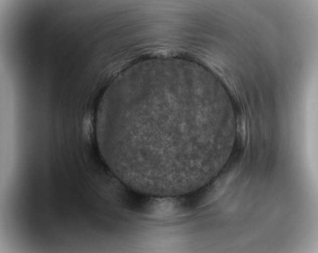 X0000095940127200801251117