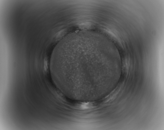 X0000095940130200801251117