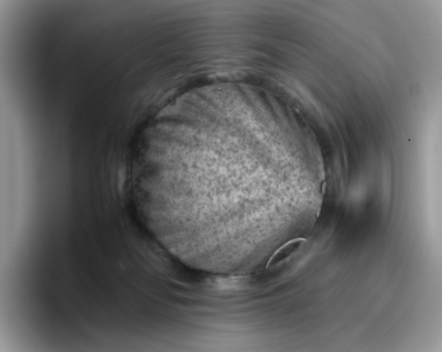 X0000095940134200801251117