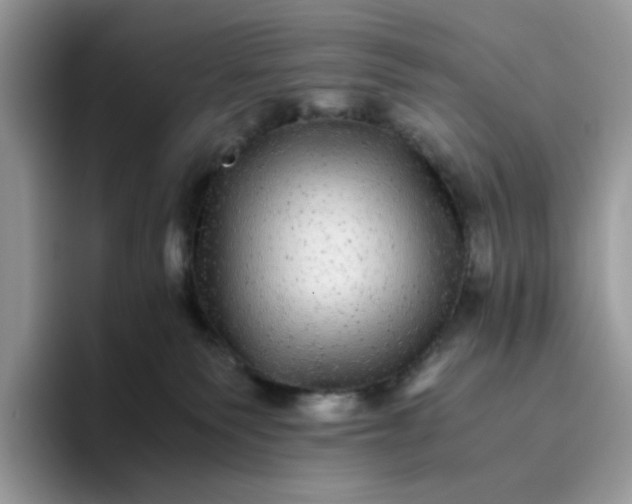 X0000095940135200801251117