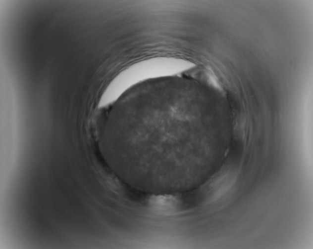 X0000095940137200801251117