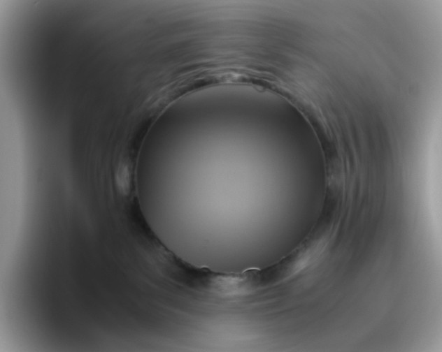 X0000095940139200801251117