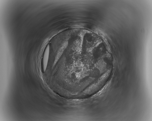 X0000095940145200801251117