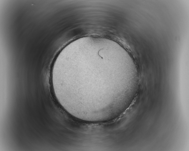 X0000095940146200801251117