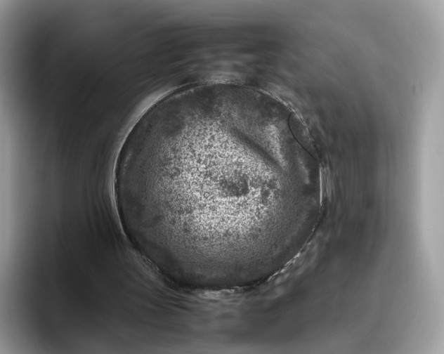 X0000095940147200801251117