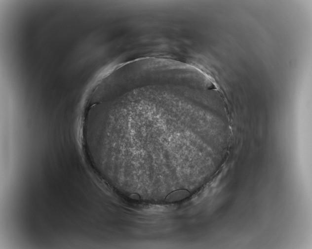 X0000095940149200801251117