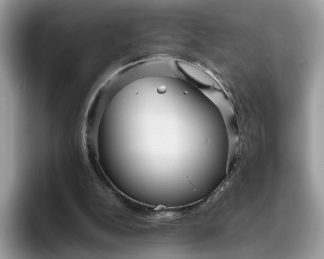 X0000095940152200801251117