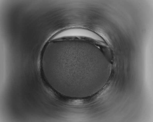 X0000095940156200801251117