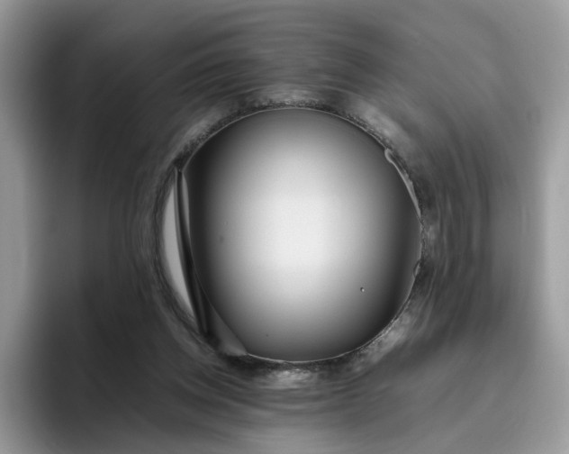 X0000095940158200801251117