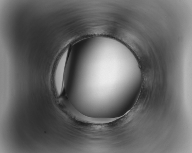 X0000095940160200801251117