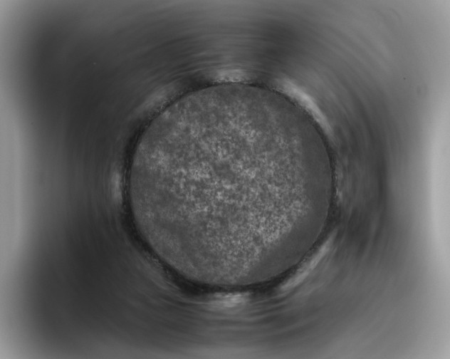 X0000095940161200801251117