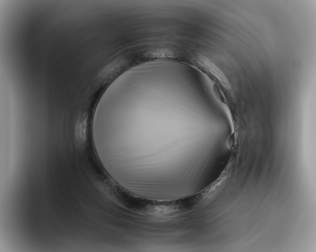 X0000095940163200801251117