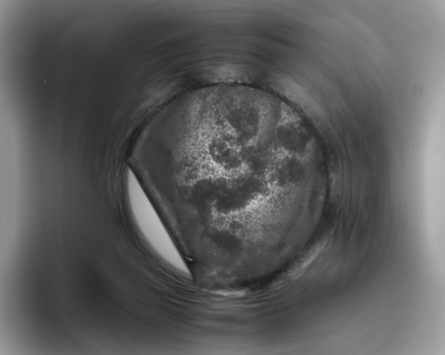 X0000095940165200801251117