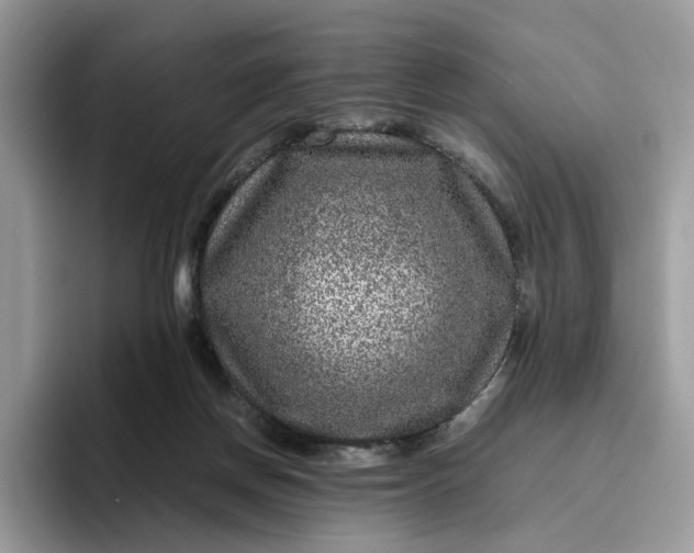 X0000095940166200801251117