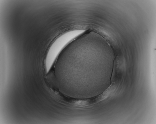 X0000095940168200801251117