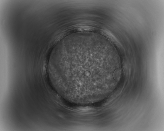 X0000095940169200801251117