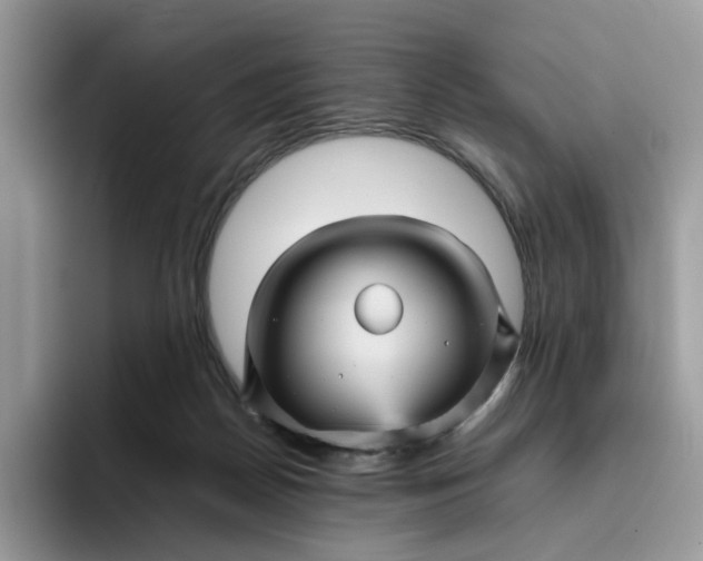 X0000095940170200801251117