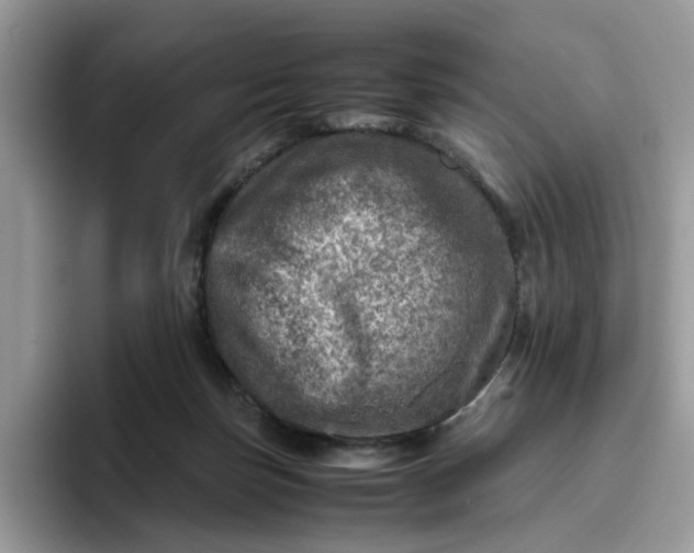 X0000095940171200801251117