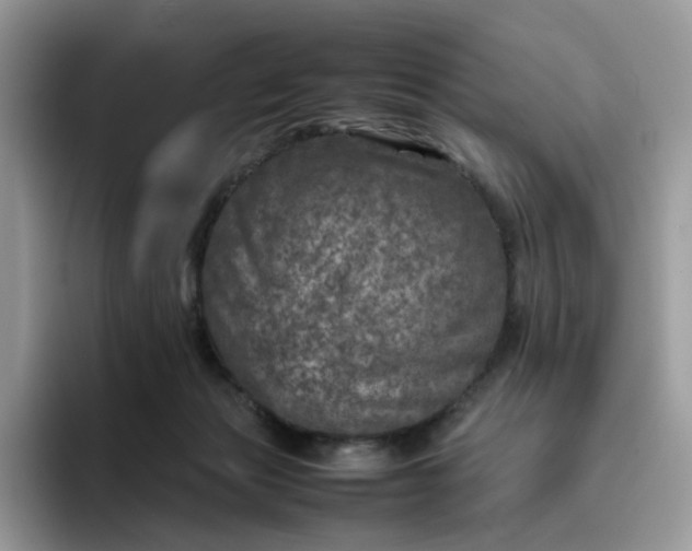 X0000095940173200801251117