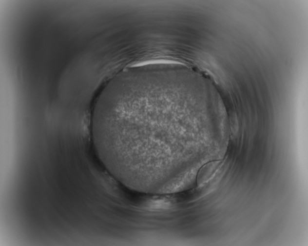 X0000095940175200801251117