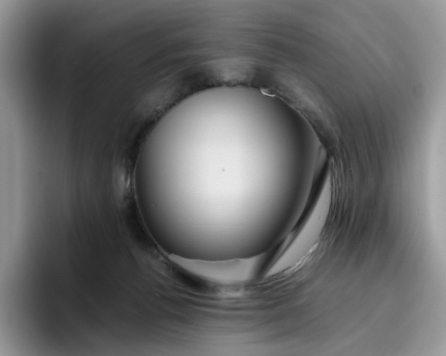 X0000095940176200801251117