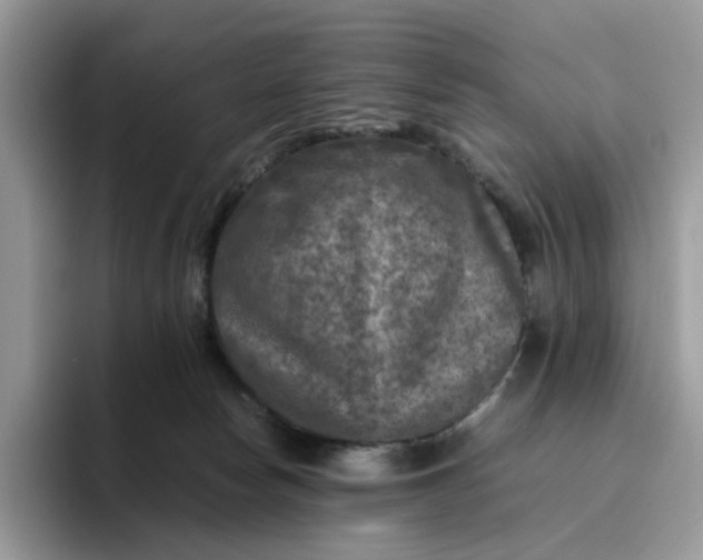 X0000095940178200801251117