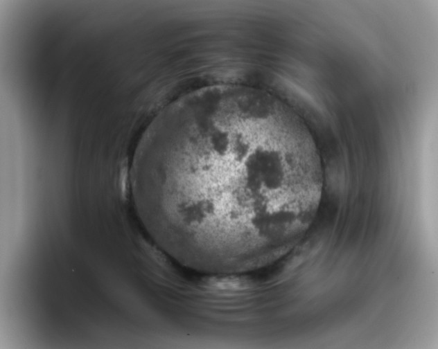 X0000095940181200801251117