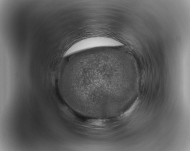 X0000095940182200801251117